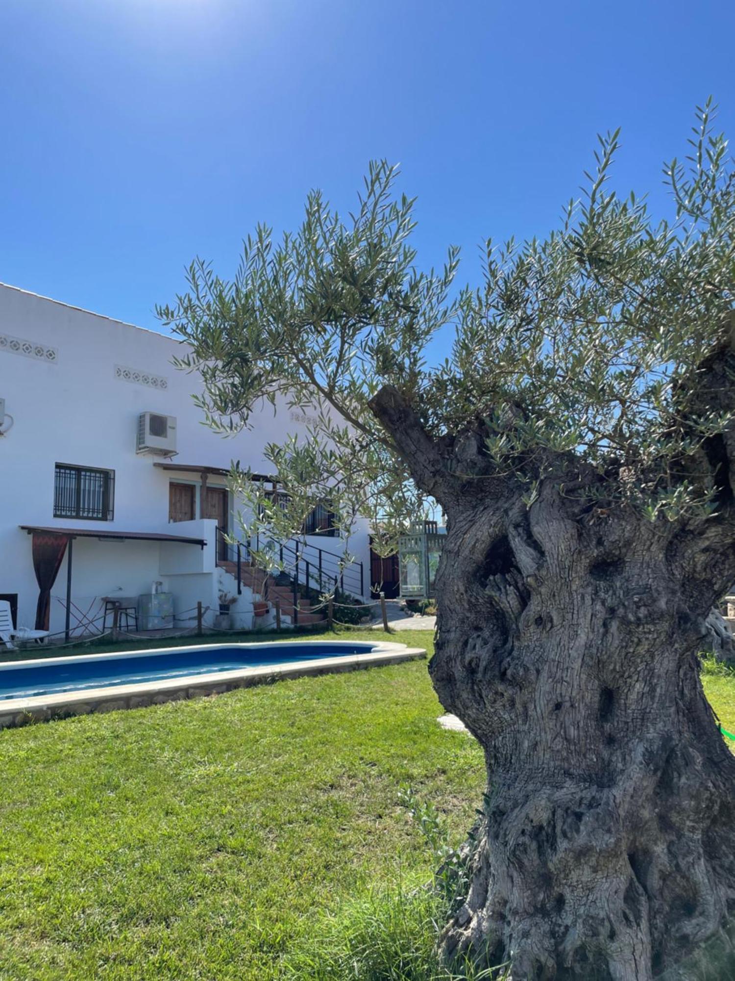 Casa Rural El Miajon El Campo (Caceres) Exterior foto